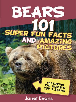 cover image of Bears